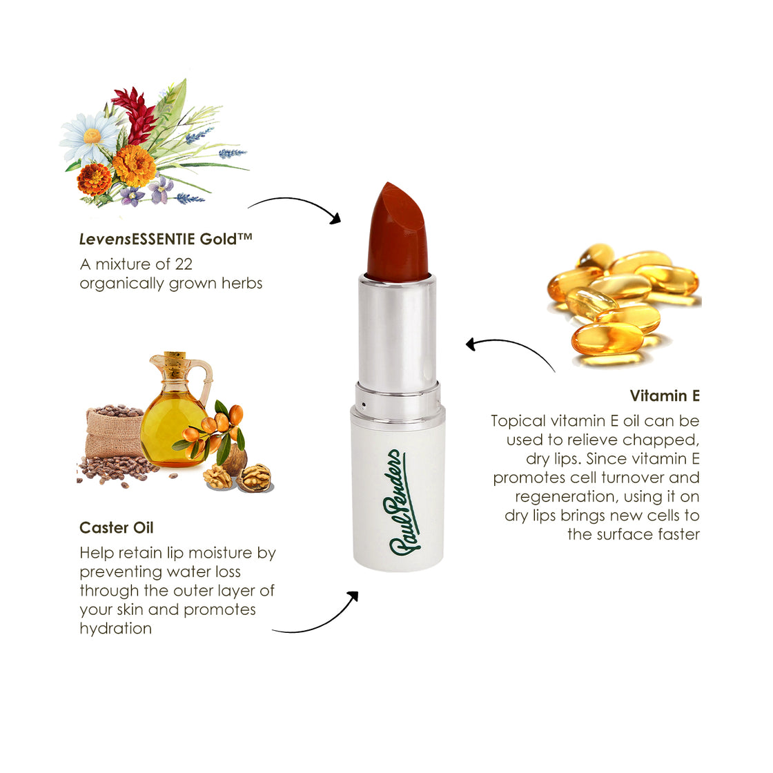 Paul Penders Hand Made Natural Cream Lipstick For A Natural Look | Moisture Rich Colour